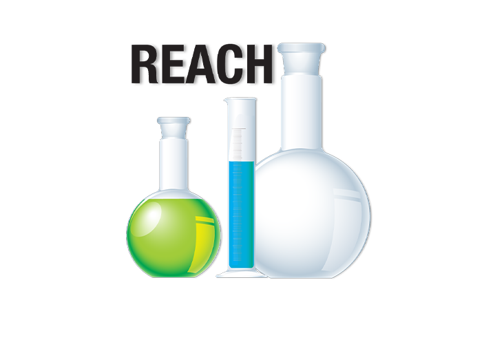 REACH logo